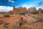 Sunset, Devils Garden, Arches National Park, Utah, USA. Art Print